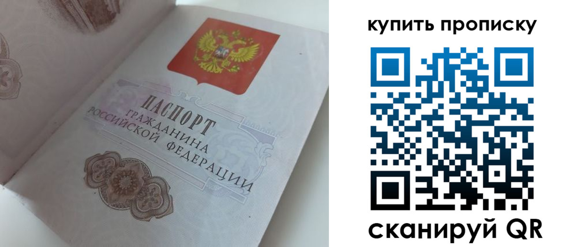 временная регистрация недорого в Алексеевке
